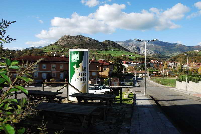 Acebos Hotel Arriondas